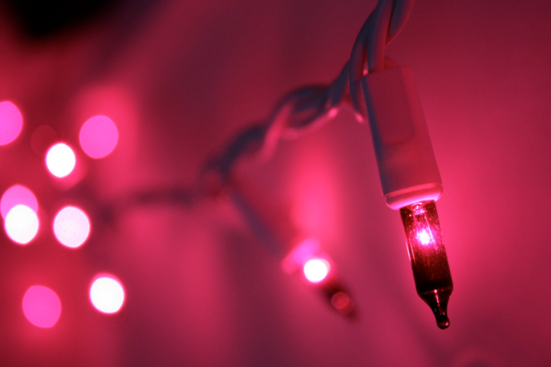Illustration for article titled Shooting Challenge: Bokeh, Gallery 3